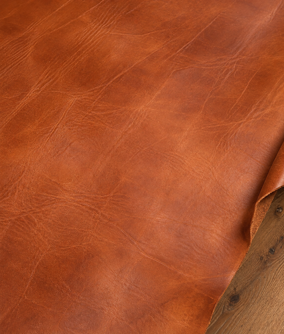 Ledergürtel Herren kürzbar - Jeansgürtel cognac, Gürtel für Herren Hellbraun, Herrengürtel leder, Jeansgürtel herren Leder